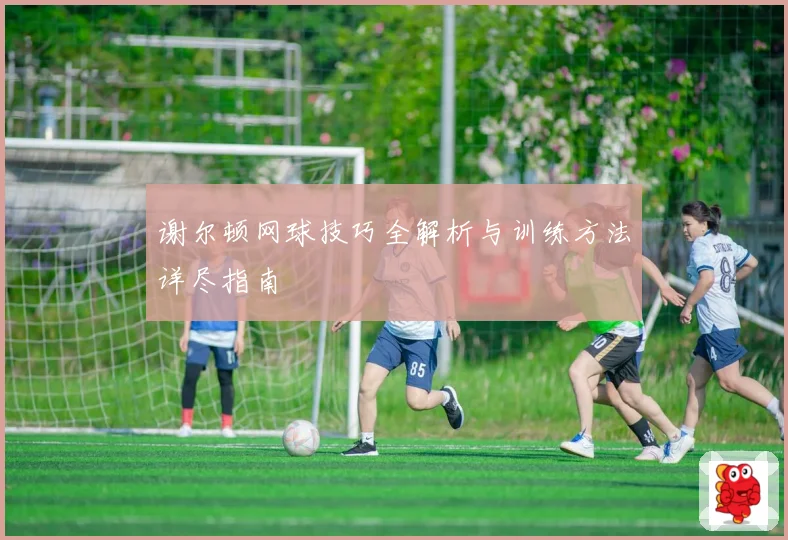 谢尔顿网球技巧全解析与训练方法详尽指南
