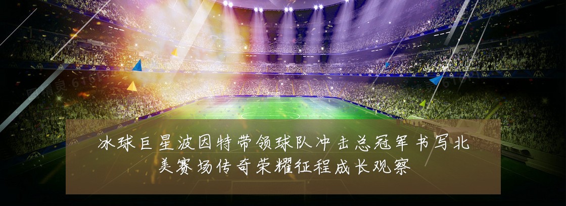 冰球巨星波因特带领球队冲击总冠军书写北美赛场传奇荣耀征程成长观察