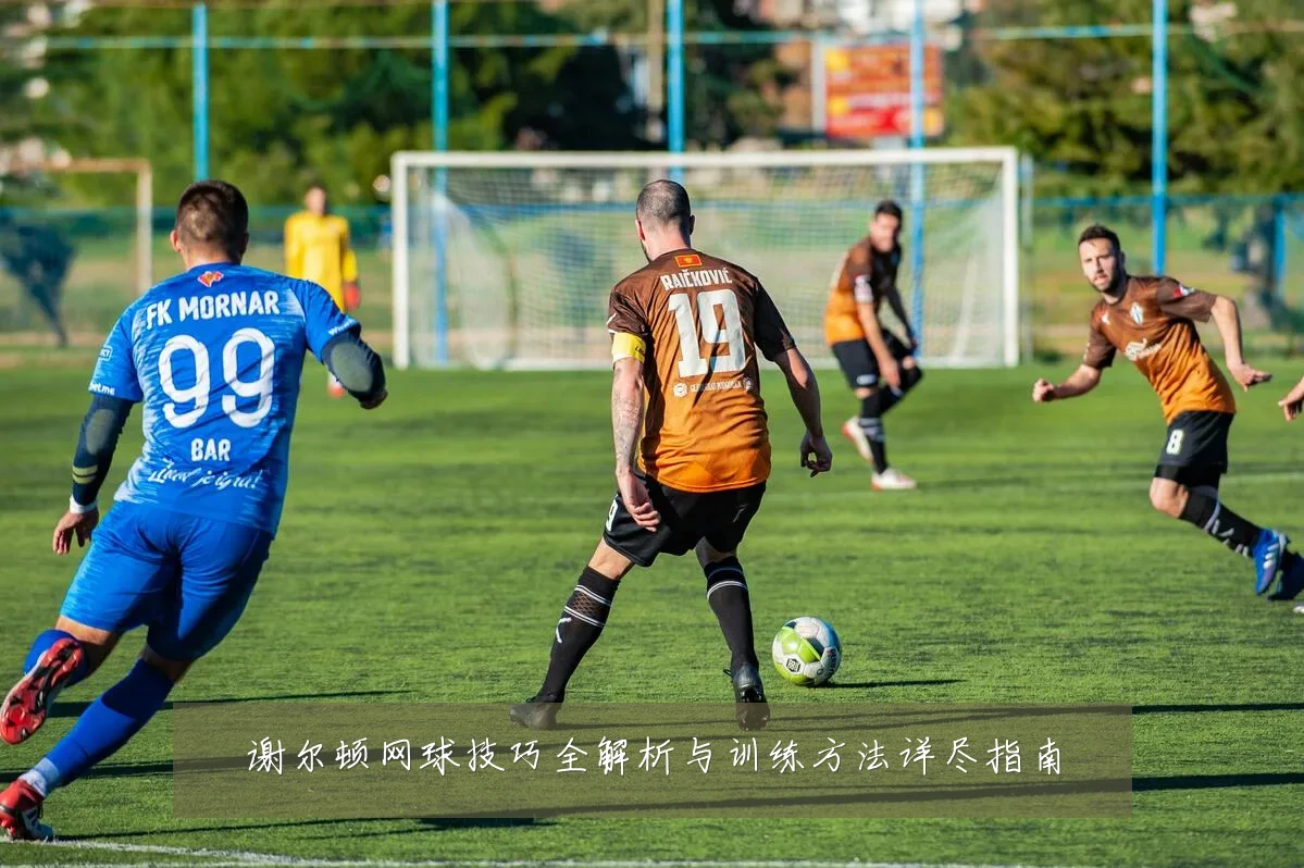 谢尔顿网球技巧全解析与训练方法详尽指南